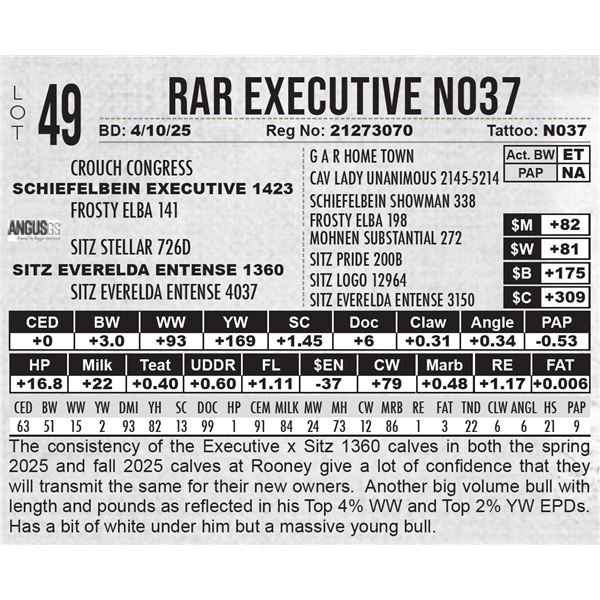 RAR Executive N037
