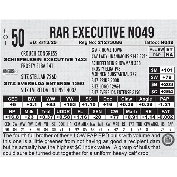 RAR Executive N049