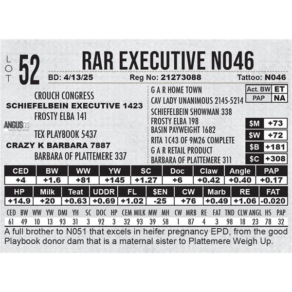 RAR Executive N046