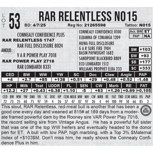 RAR Relentless N015