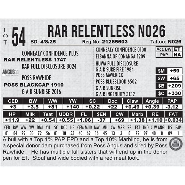 RAR Relentless N026