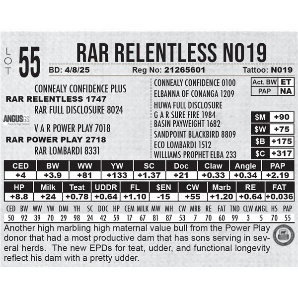 RAR Relentless N019