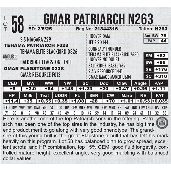 GMAR Patriarch N263