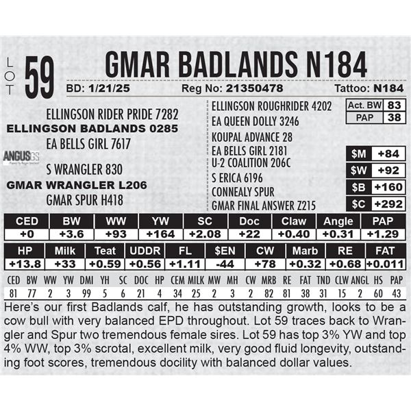 GMAR Badlands N184