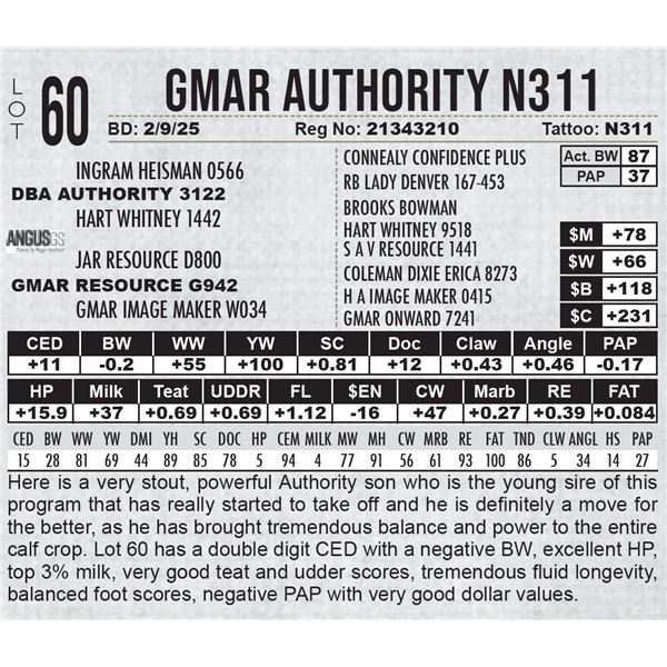 GMAR Authority N311