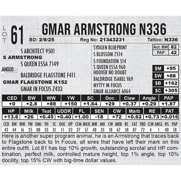 GMAR Armstrong N336