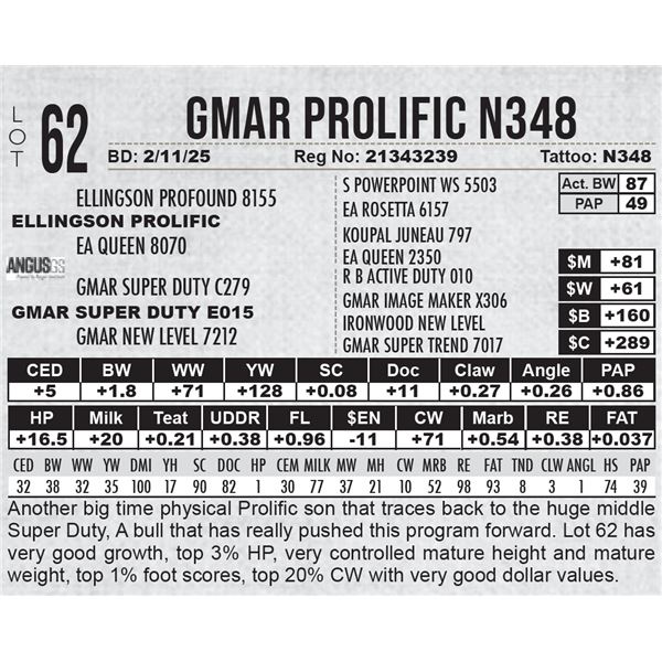 GMAR Prolific N348