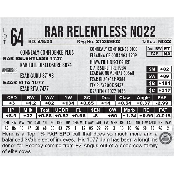 RAR Relentless N022