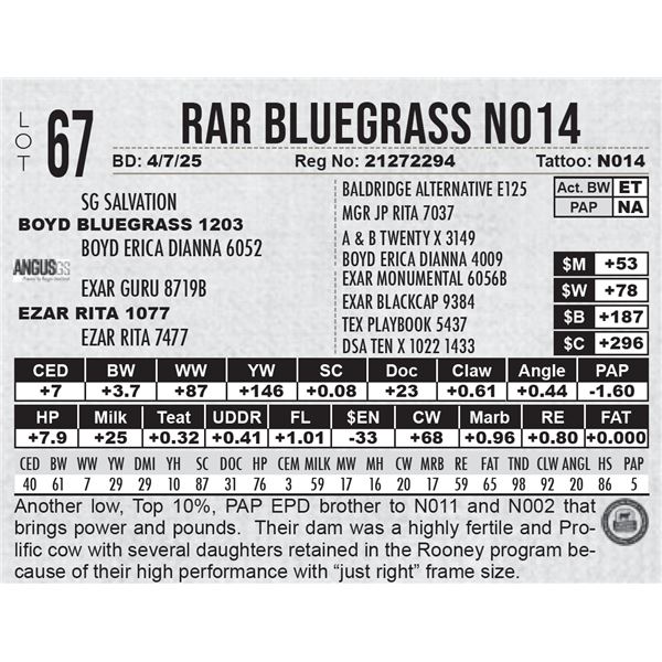 RAR Bluegrass N014