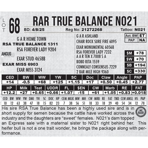 RAR True Balance N021