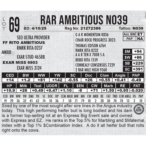 RAR Ambitious N039