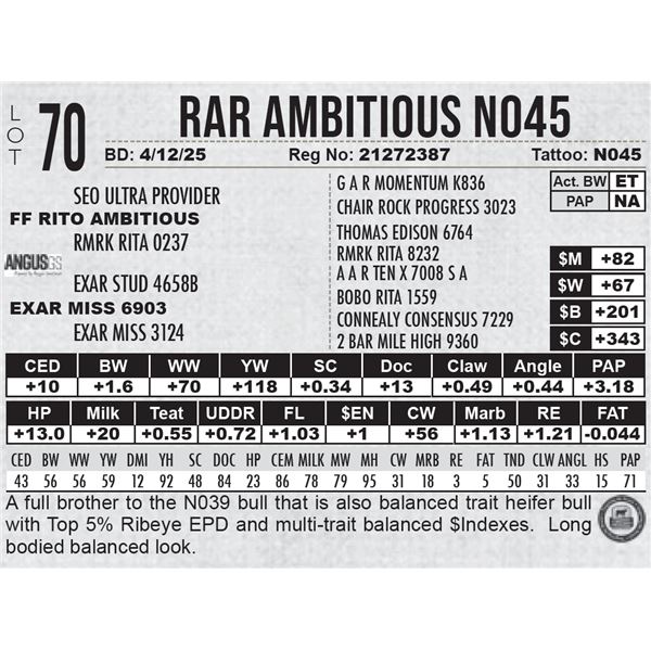 RAR Ambitious N045