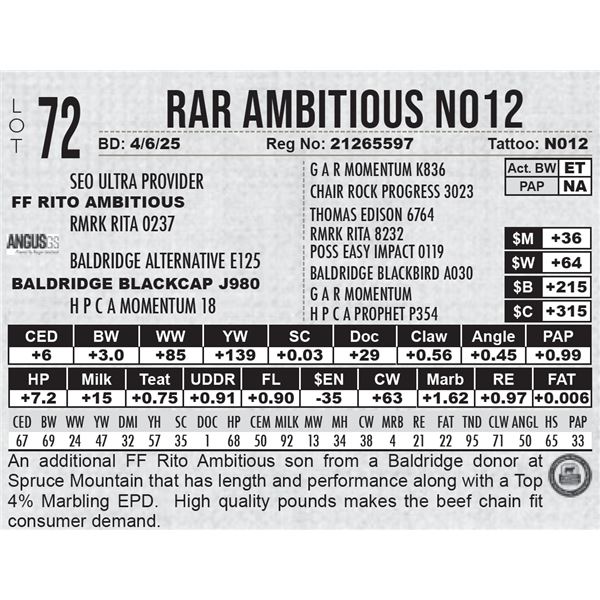 RAR Ambitious N012