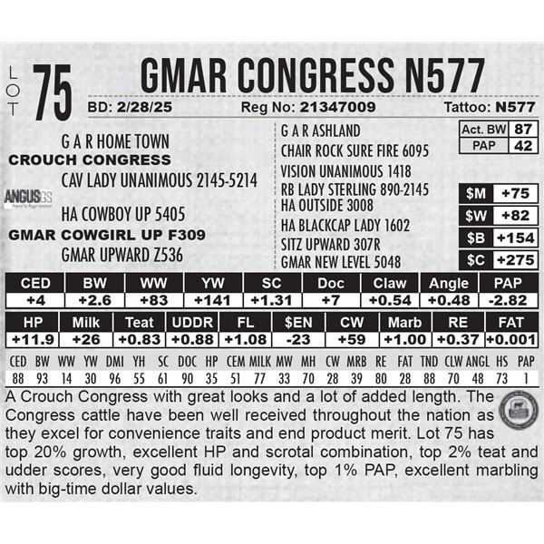 GMAR Congress N577