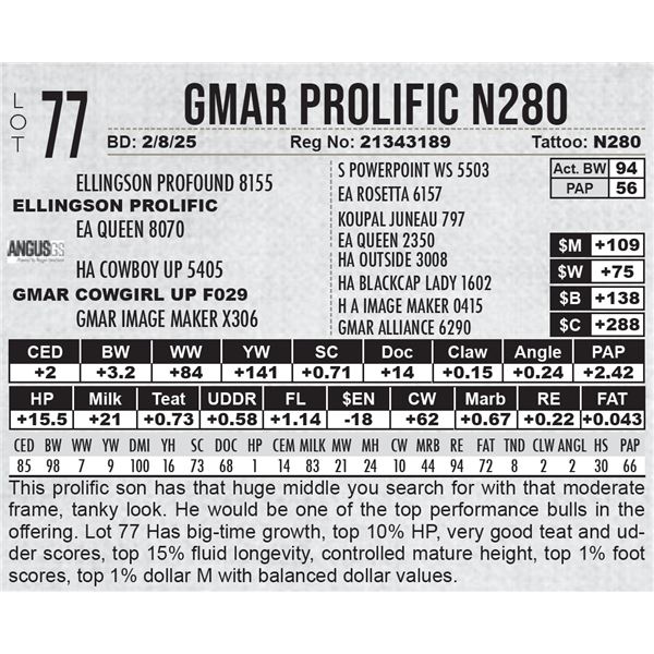 GMAR Prolific N280