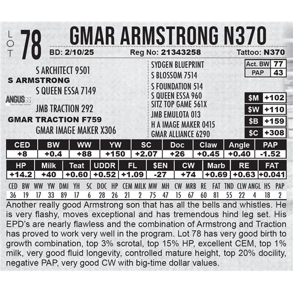 GMAR Armstrong N370