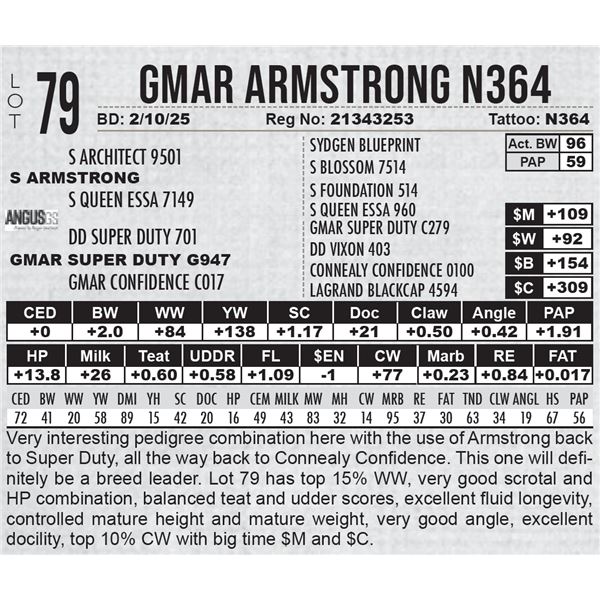 GMAR Armstrong N364