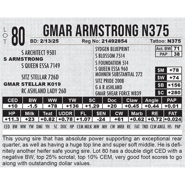 GMAR Armstrong N375