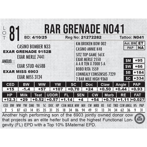 RAR Grenade N041
