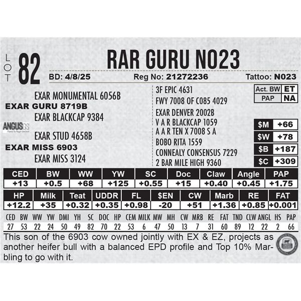RAR Guru N023