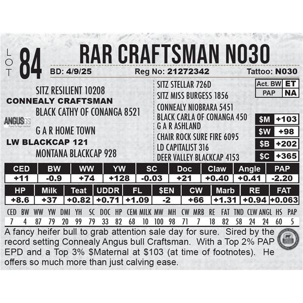 RAR Craftsman N030