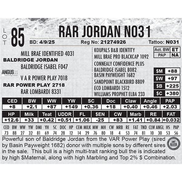 RAR Jordan N031