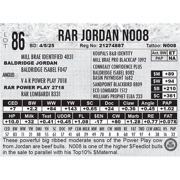 RAR Jordan N008