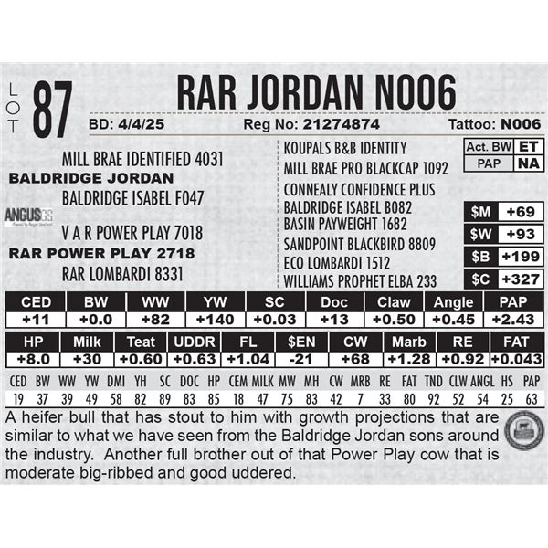 RAR Jordan N006