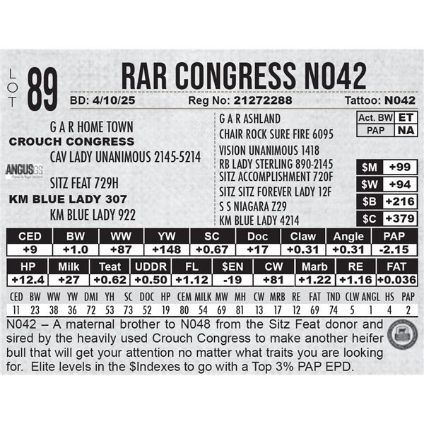RAR Congress N042