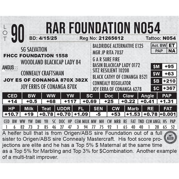 RAR Foundation N054