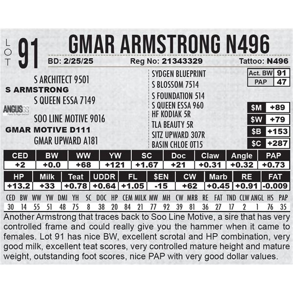 GMAR Armstrong N496