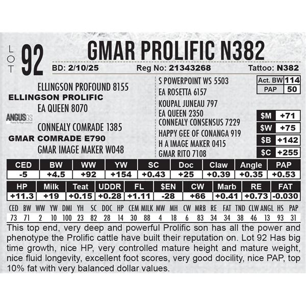 GMAR Prolific N382