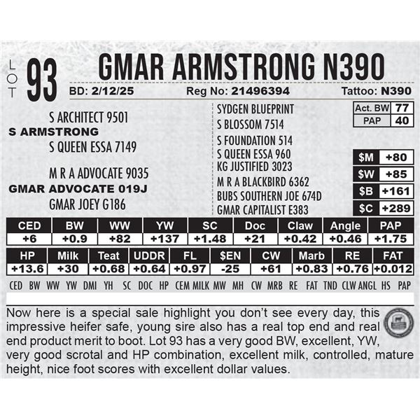 GMAR Armstrong N390