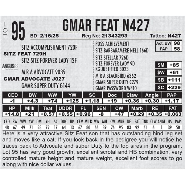 GMAR Feat N427