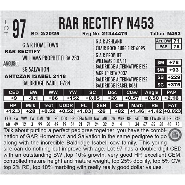 RAR Rectify N453