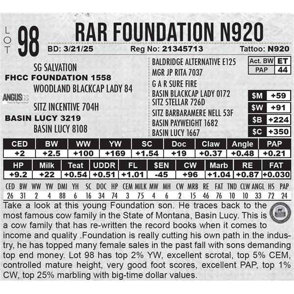 RAR Foundation N920