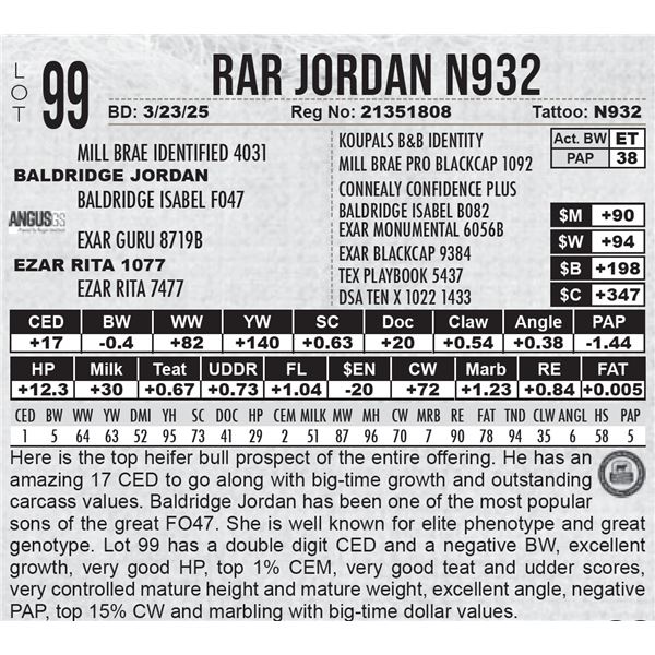 RAR Jordan N932