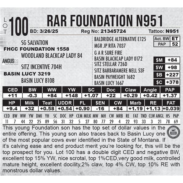 RAR Foundation N951