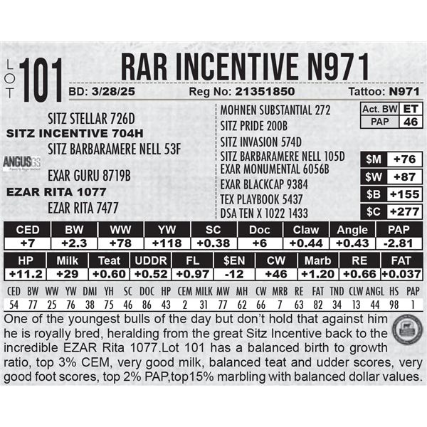 RAR Incentive N971