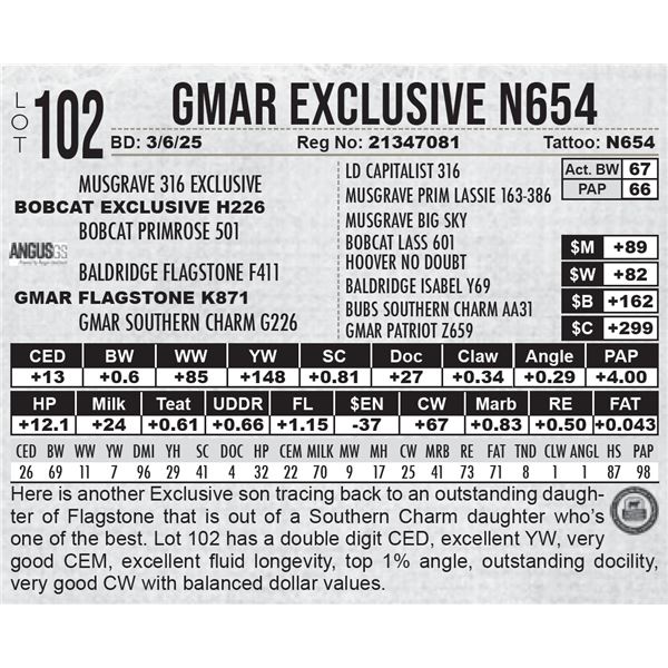 GMAR Exclusive N654