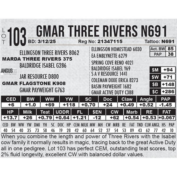 GMAR Three Rivers N691