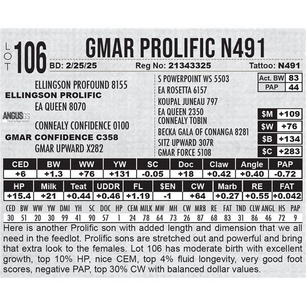 GMAR Prolific N491