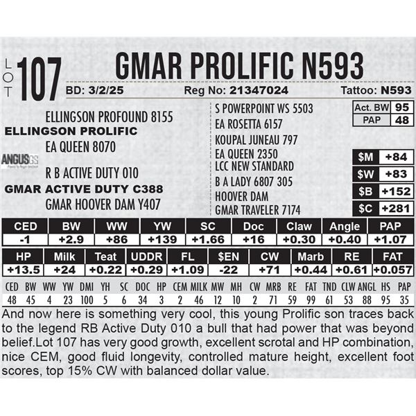 GMAR Prolific N593