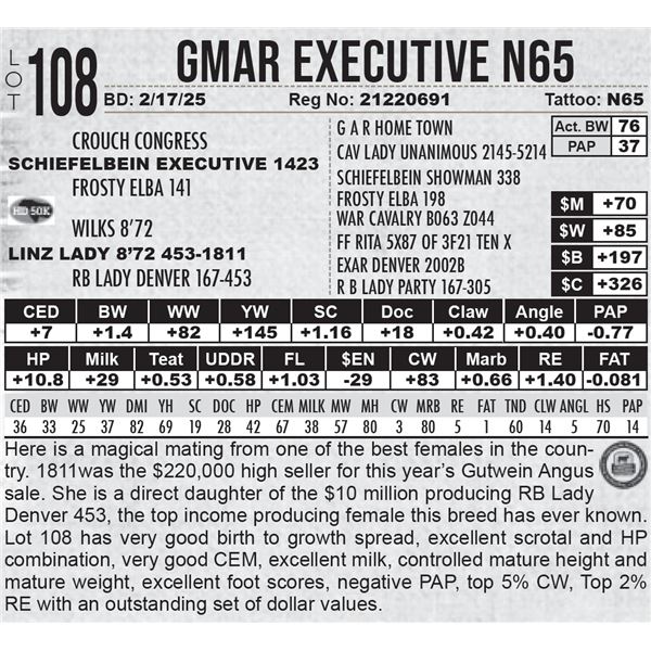 GMAR Executive N65