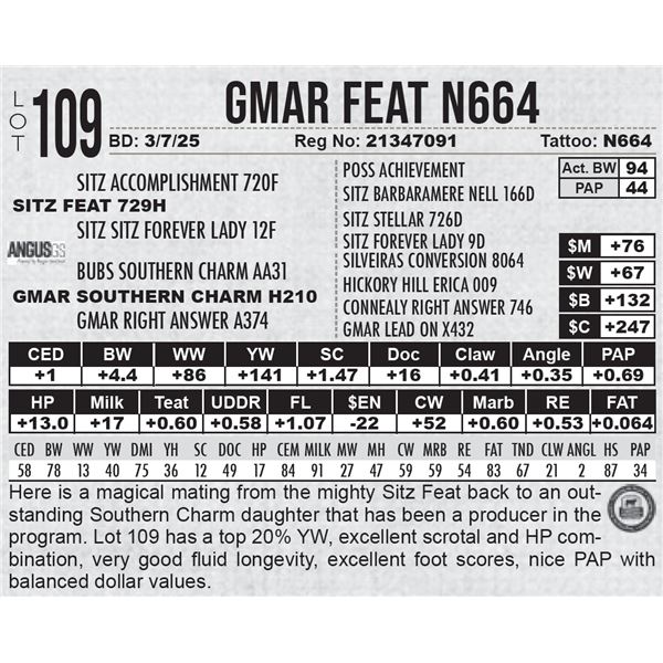 GMAR Feat N664