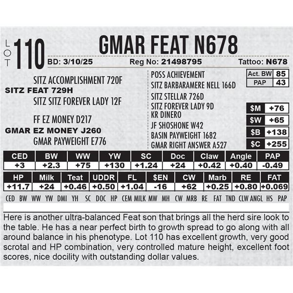 GMAR Feat N678