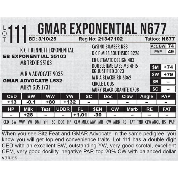 GMAR Exponential N677
