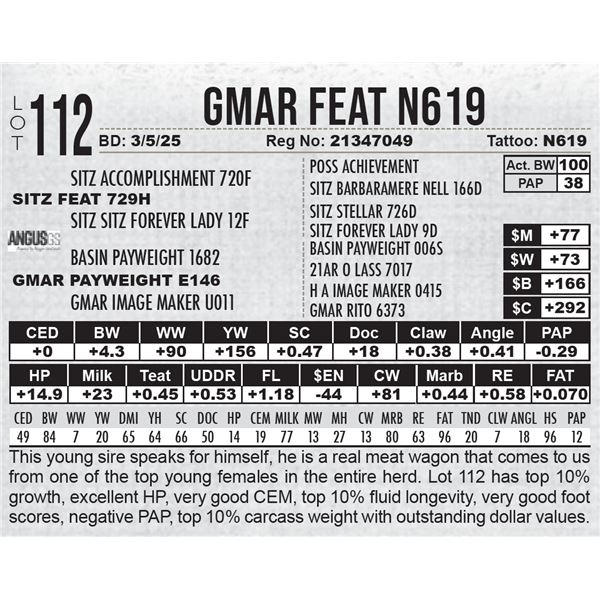 GMAR Feat N619