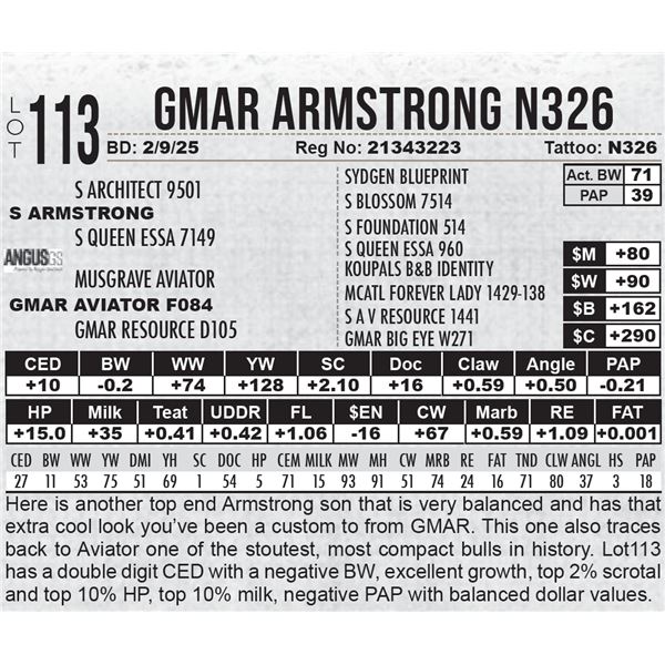 GMAR Armstrong N326