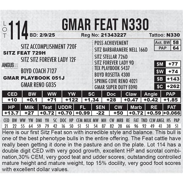 GMAR Feat N330